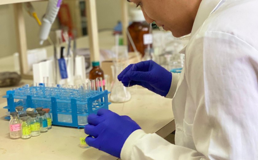 Pesquisa revisa potencial agroquímico de moléculas naturais com baixa toxicidade