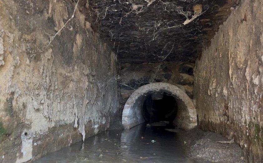 Ilha do Ferro tem água própria para consumo, mas sofre com despejo de esgoto no Velho Chico