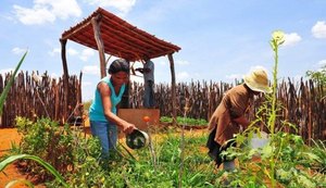 Alagoas foi Estado do Nordeste menos afetado pela crise econômica, segundo IBGE e Seplag