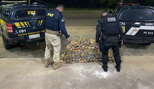 170 kg de maconha são apreendidos em ação conjunta da PRF, Deic, Tigre e SSP