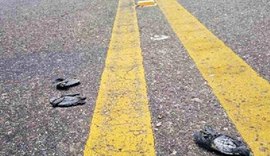 Filhotes de tartarugas são atropelados atraídos por luzes à beira mar
