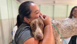 Animais cadastrados no Meu Amigo Pet passam por coleta de sangue para castração