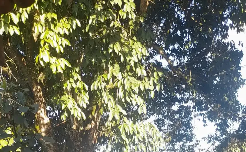 Corpo é encontrado por populares no Rio Paraíba, em Cajueiro