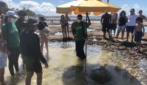 Tartaruga marinha encalha com vida na piscina natural da praia de Ponta Verde
