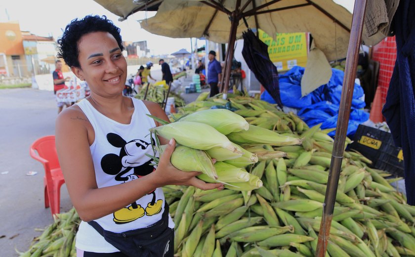 Aumenta oferta de milho verde em Maceió