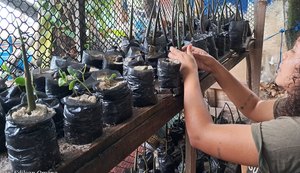 Mentes brilhantes empreendem para salvar o Planeta