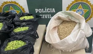 Homem é preso no Rio por tingir de verde feijão fradinho para vender como feijão de corda