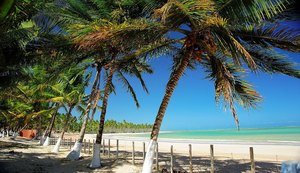 No estado de Alagoas, sete em cada 10 internações em hospitais foram através do SUS