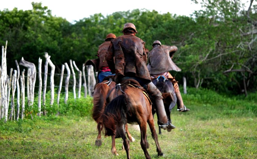 I Vaquejada de Pega de Boi no Mato promete movimentar Pão de Açúcar com cultura, esporte e música sertaneja