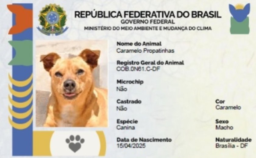 Secdef fará emissão de RG Animal para cães e gatos durante Pet Cidadão nesta quarta-feira