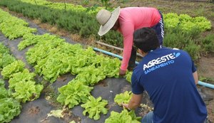 Agricultores de Arapiraca recebem mantas do projeto Agreste Rural