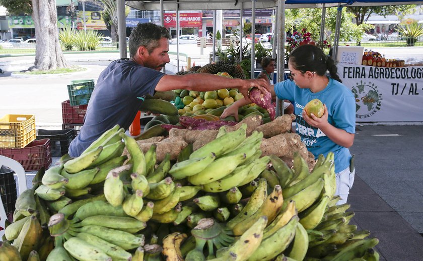 Última feira agroecológica do ano com sorteio de mudas e vale-compras