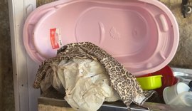 Corpo de bebê estava dentro de sacola em armário com produtos de limpeza
