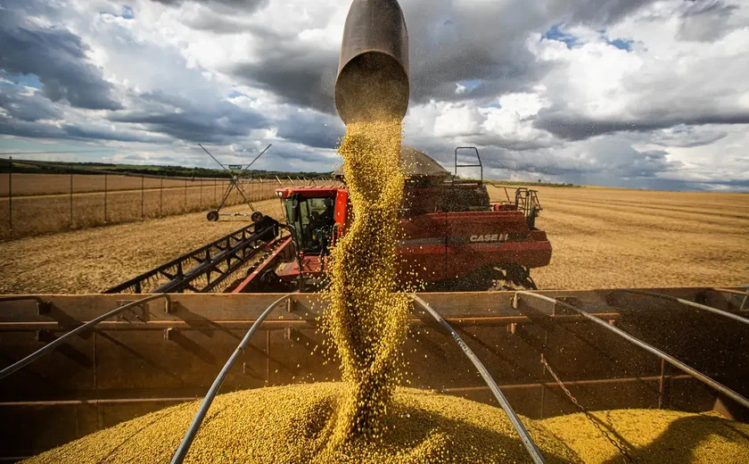 Queda no preço dos alimentos vai permanecer, diz ministro