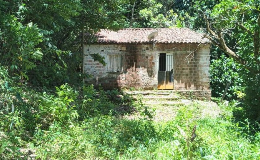 Convívio Social remove estrutura irregular construída em área verde no bairro Petrópolis