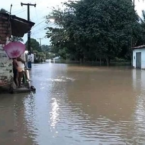 Quase todas as cidades da Região Norte de Alagoas foram atingidas pelas