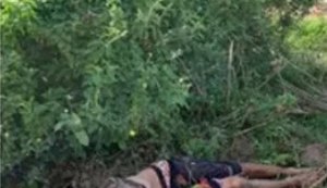 Jovem de 26 anos é encontrado em vegetação morto e com crânio desfigurado