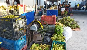 Feira Agroecológica Novo Jardim chega na cidade universitária, parte alta de Maceió
