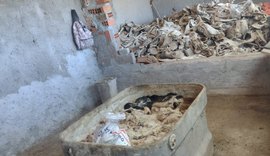 Matadouro clandestino é embargado e multado em mais de R$ 120 mil por equipe da FPI