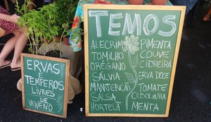 Feira Orgânica da Semarh na praia será no domingo, 10