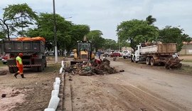 Dique Estrada: mutirão recolhe mais de 250 toneladas de resíduos