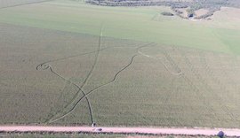 'Estranho', diz mulher de agrônomo que sumiu após deixar sinais em lavoura