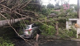 Árvores caem em carro e parte de residência no Conjunto Jardim Petrópolis