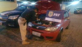 PRF em Alagoas prende motorista dirigindo veículo roubado e com documento falso na BR 316