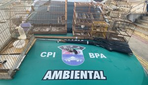 Unidades da PM/AL efetuam apreensões de arma de fogo no interior do estado