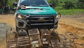 PM apreende espingardas e resgata pássaros silvestres em Flexeiras
