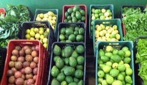 Codevasf investirá R$ 2,7 milhões na implantação da Rota da Fruticultura em AL