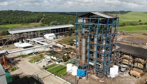 Usina Pindorama encerra safra com quebra de recorde de toneladas de cana moída