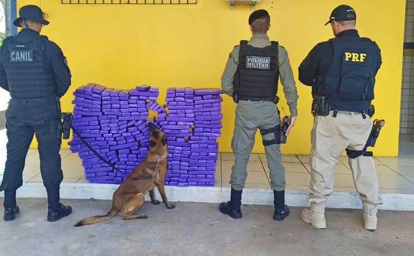 Operação conjunta resulta na apreensão de aproximandente 194 kg de maconha, em São Sebastião
