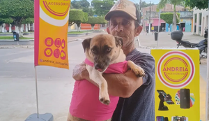 O drama em AL do 'Guirra dos Cachorros” para cuidar de mais de 70 animais de rua sem apoio da Prefeitura e do Estado