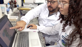 Pesquisa financiada pela Fapeal desvenda a evolução genética do vírus chikungunya em Alagoas