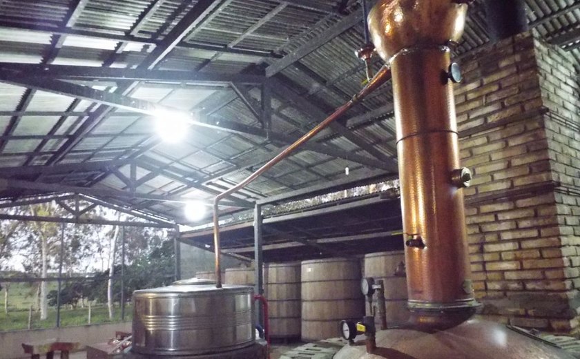 Gogó da Ema se destaca entre os melhores destilados do mundo