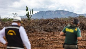 FPI embarga 40 áreas na Caatinga alagoana em dez dias