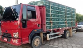 Operação integrada apreende cerca de 9 mil aves sem nota fiscal em Alagoas