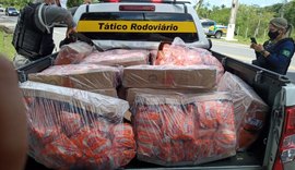BPRv flagra mais de duas toneladas de frango e lanches transportadas sem câmara fria