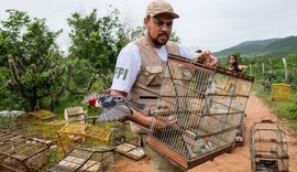 FPI do São Francisco devolve 114 animais silvestres à natureza