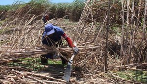 Acidentes graves de trabalho aumentam cerca de 70% em Alagoas