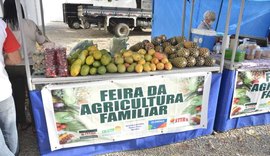 Edição natalina da Feira da Agricultura Familiar acontece nos dias 17 e 18 de dezembro