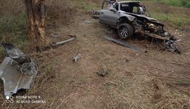Motorista sai da pista na AL-220, bate em duas cercas e só para ao colidir em árvore
