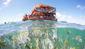 Alagoas e Paraíba estão entre destinos preferidos