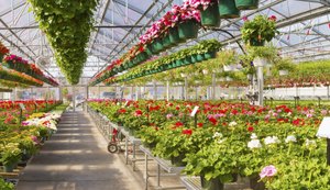 Seminário sobre Plantas Ornamentais aponta oportunidades do setor em Alagoas