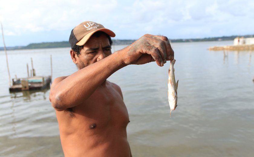 Pesquisador atribui mortandade de peixes a contaminação tóxica