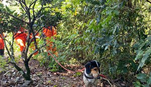 Corpo de idoso encontrado em União dos Palmares não estava esquartejado, afirma Polícia Científica