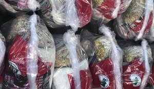 Cufa Alagoas, MST e Greenpeace Brasil promovem ação de combate contra a fome