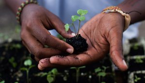 Plantio de mudas do Prêmio Octávio Brandão se transforma em aula de campo para crianças