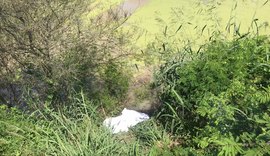 Homem de 54 anos morre vítima de atropelamento na rodovia AL-120 em Major Izidoro